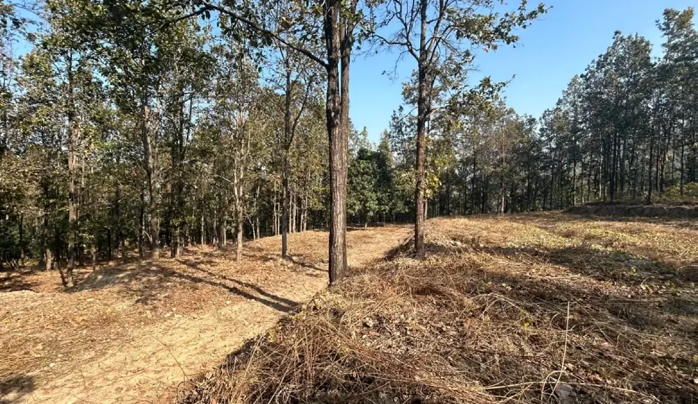 Land Bour