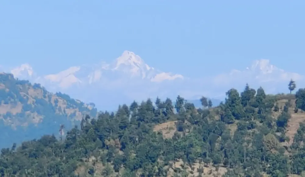 Land in Narendra Nagar