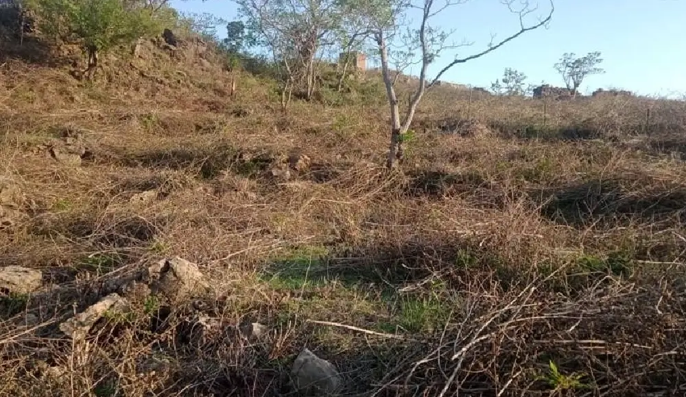 land-in-pundrasu-neelkanth