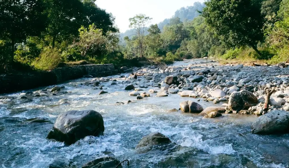 river-shore-cottages-jim-corbett