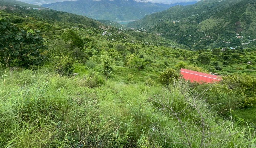 land-in-jaulangi-tehri-3